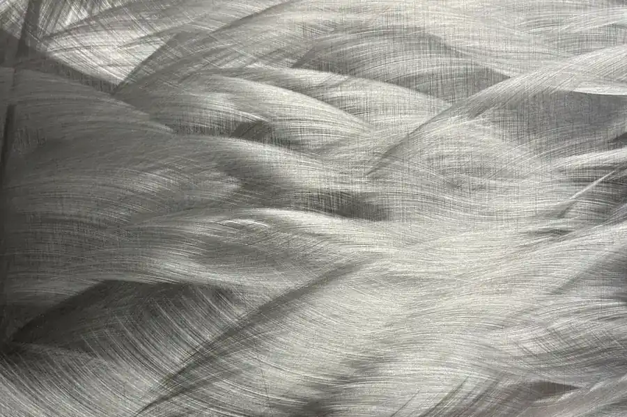 Embossed metallic sheet with a feather-like raised pattern